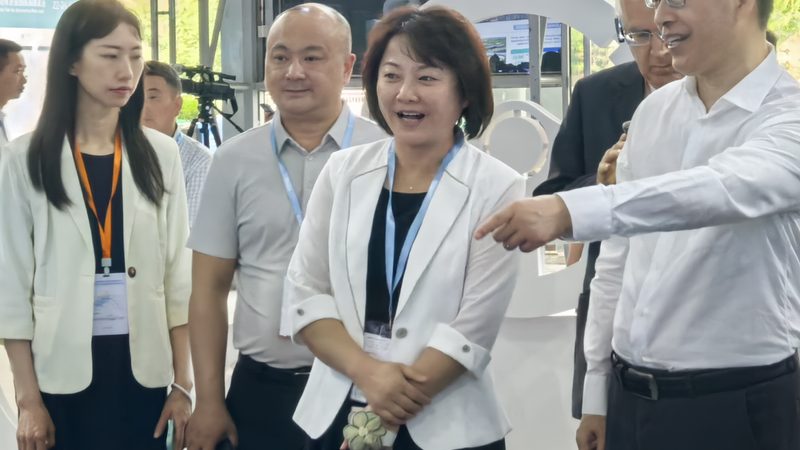 市场分析：了解行业现状与趋势